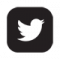 gallery/twitter